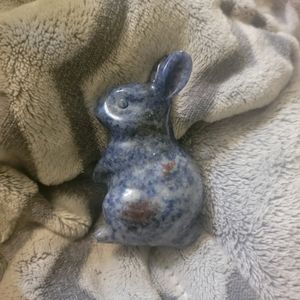 Sodalite bunny 🐰 🐇
